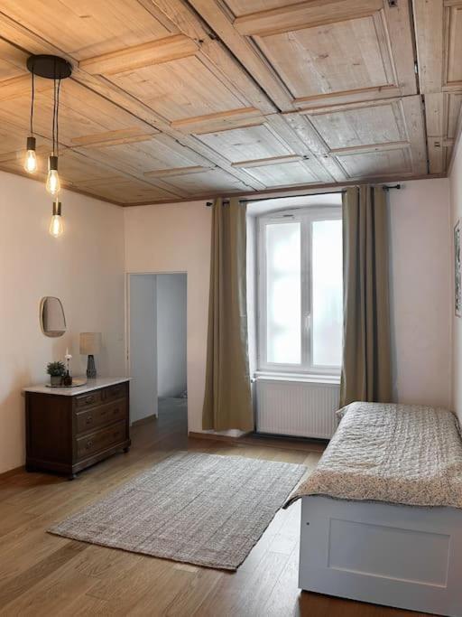 Hypercentre 80M2, A Deux Pas Du Chateau Des Rohan Саверн Экстерьер фото